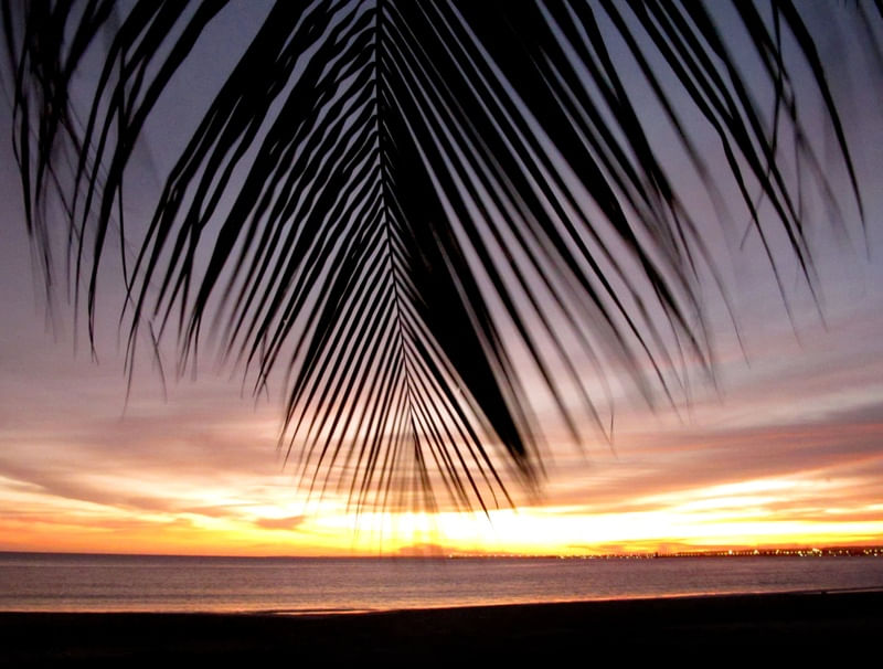 ENTARDECER DO COQUEIRO