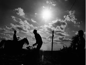 OS TRABALHADORES DO ENTARDECER