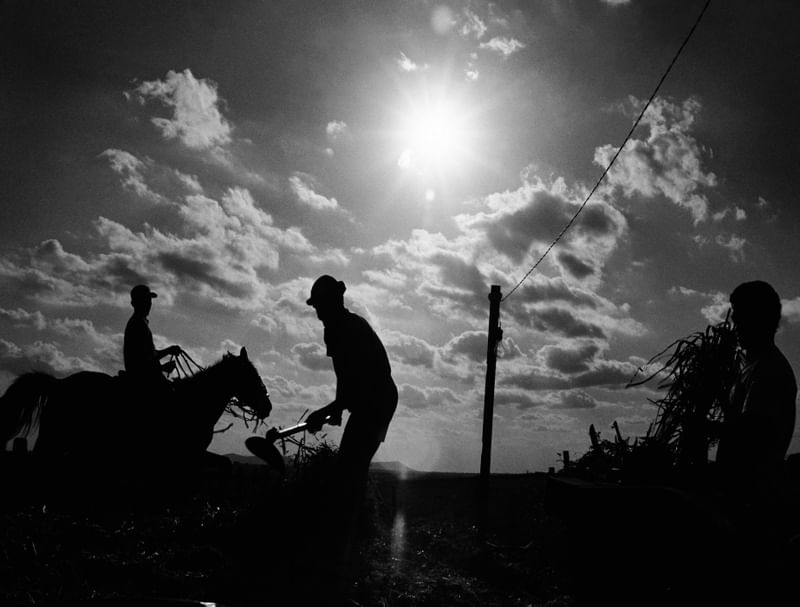 OS TRABALHADORES DO ENTARDECER