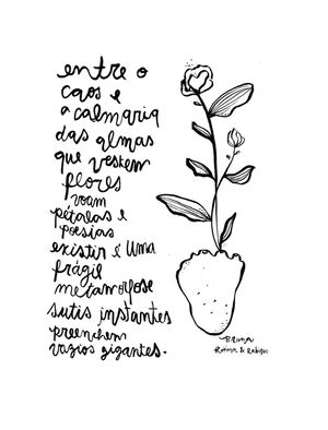 CAOS E CALMARIA