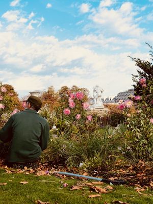 O JARDINEIRO DE PARIS