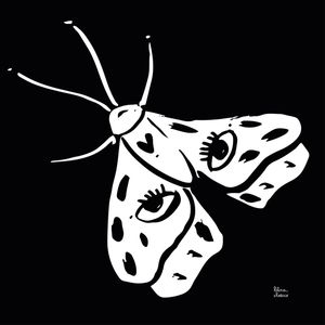 BORBOLETA II BY R&R