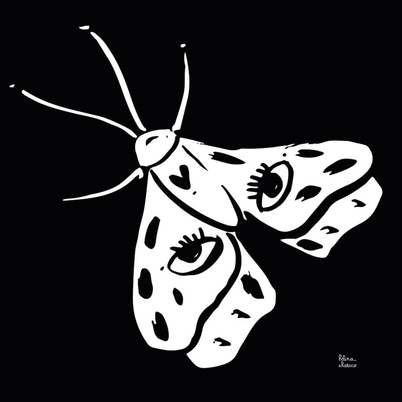 BORBOLETA II BY R&R