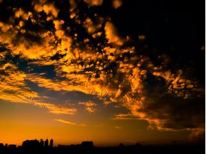 SUNSET 2
