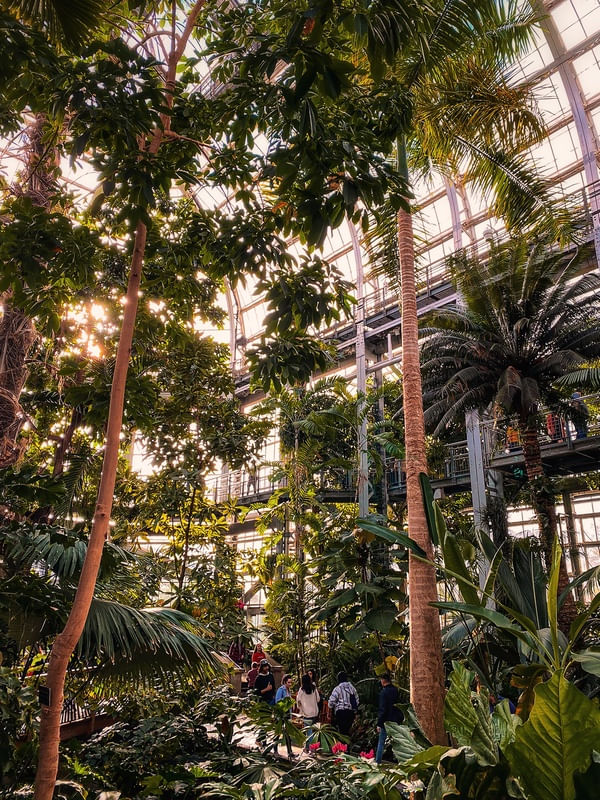 JARDIM BOTÂNICO WDC - POR BEATRIZ CYPRIANO