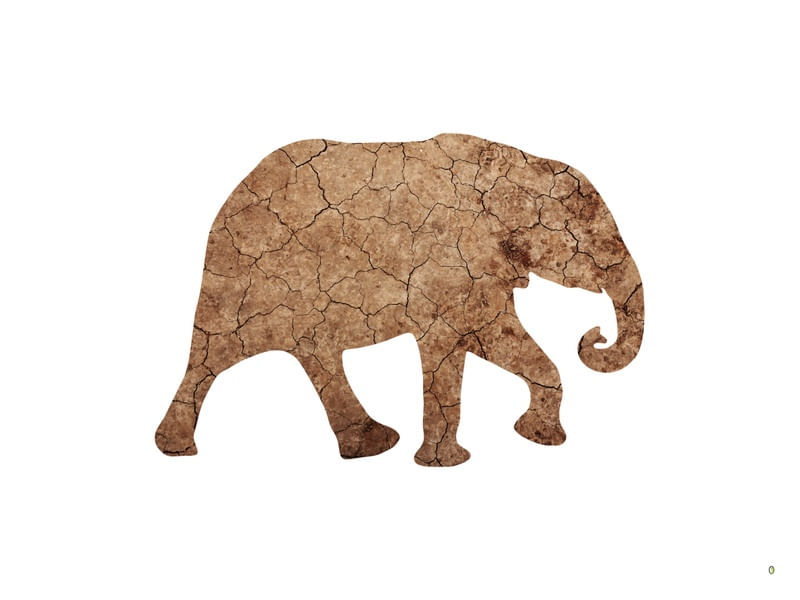 ELEFANTE 100 P