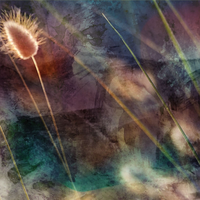 FLOW 010