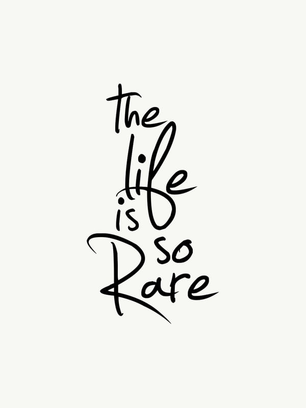 THE LIFE IS SO RARE