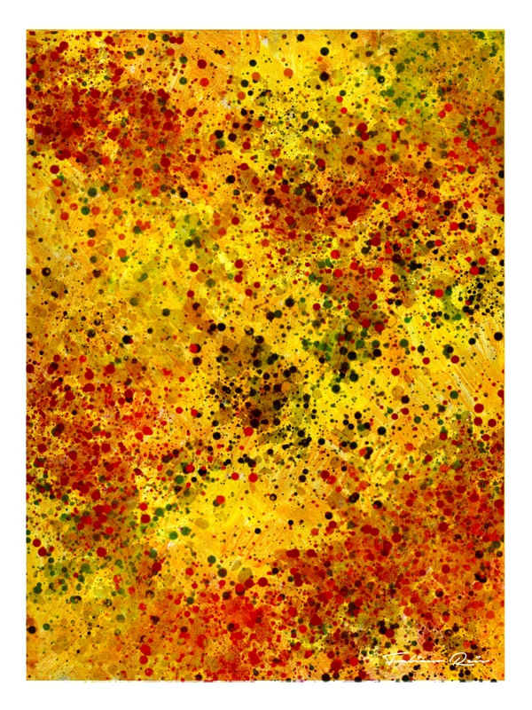 FLOWER FIELD