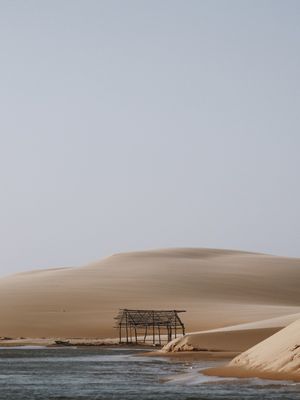 PARAÍSO ESQUECIDO
