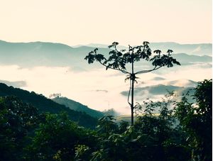 INVERNO NA MONTANHA