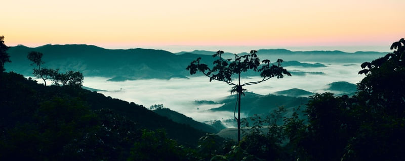 AMANHECER NA MONTANHA 2