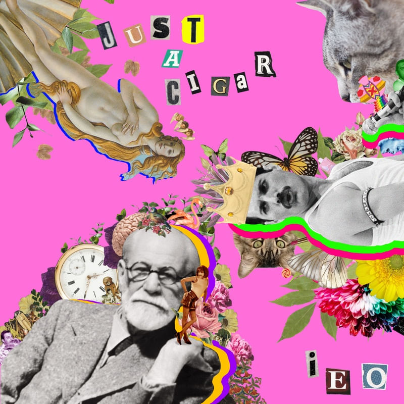 FREDDIE FREUD