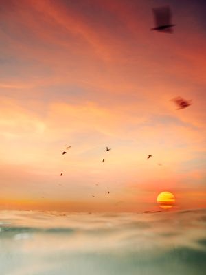LOVE SUMMER DREAM