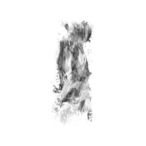 MIZU II - III