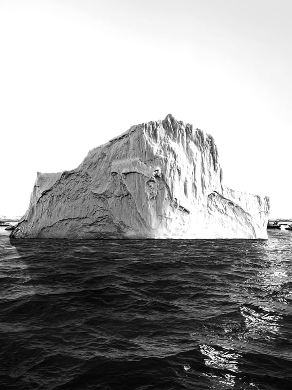 ICEBERG PB | RETRATO