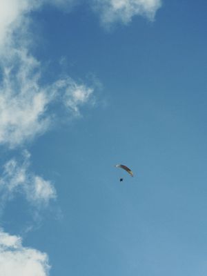 LIVE PELO CÉU