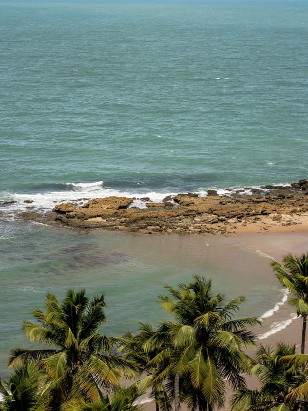 MAR DE COQUEIRINHO