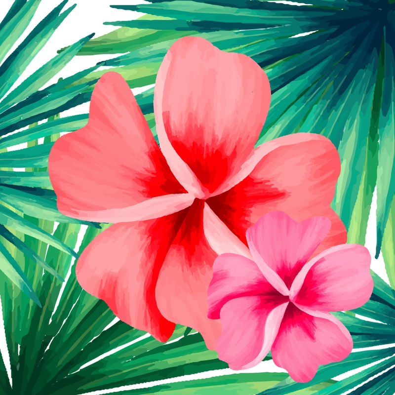 HIB_LEAF_2