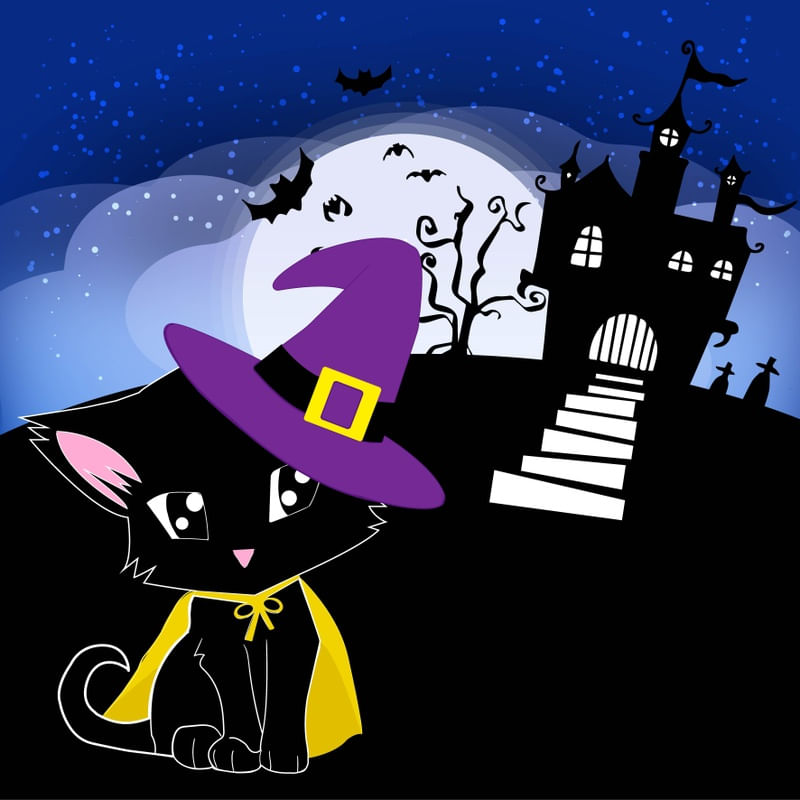 MYSTIC CAT