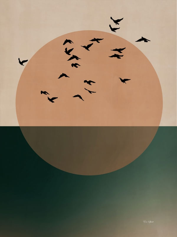 SEAGULLS JOURNEY