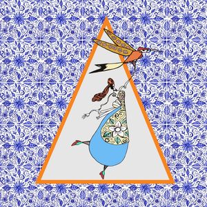 A DAMA E O COLIBRI