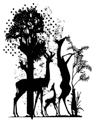 NATURE BLACK AND WHITE