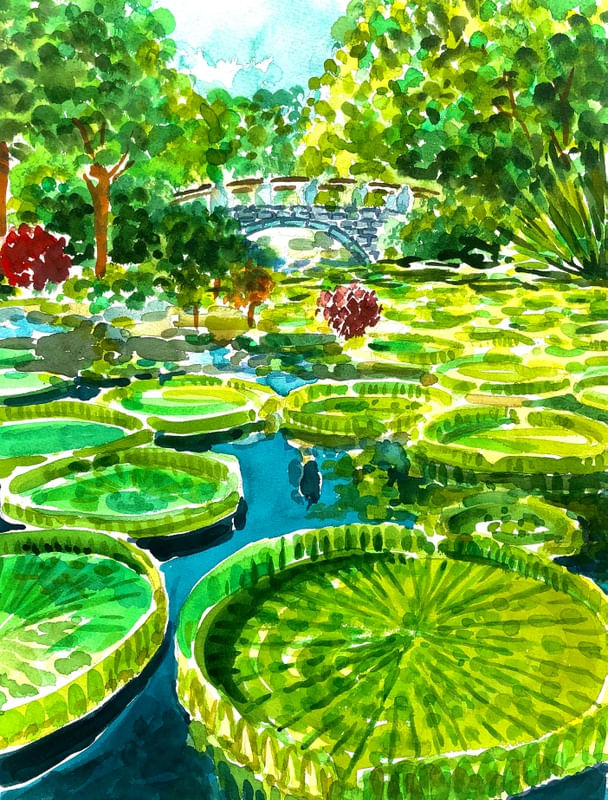 LUZ AQUATICA