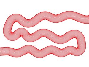 LINES 02
