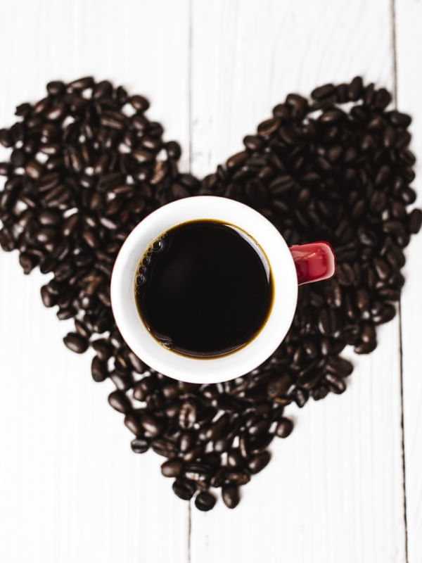 AMANTES DE CAFÉ