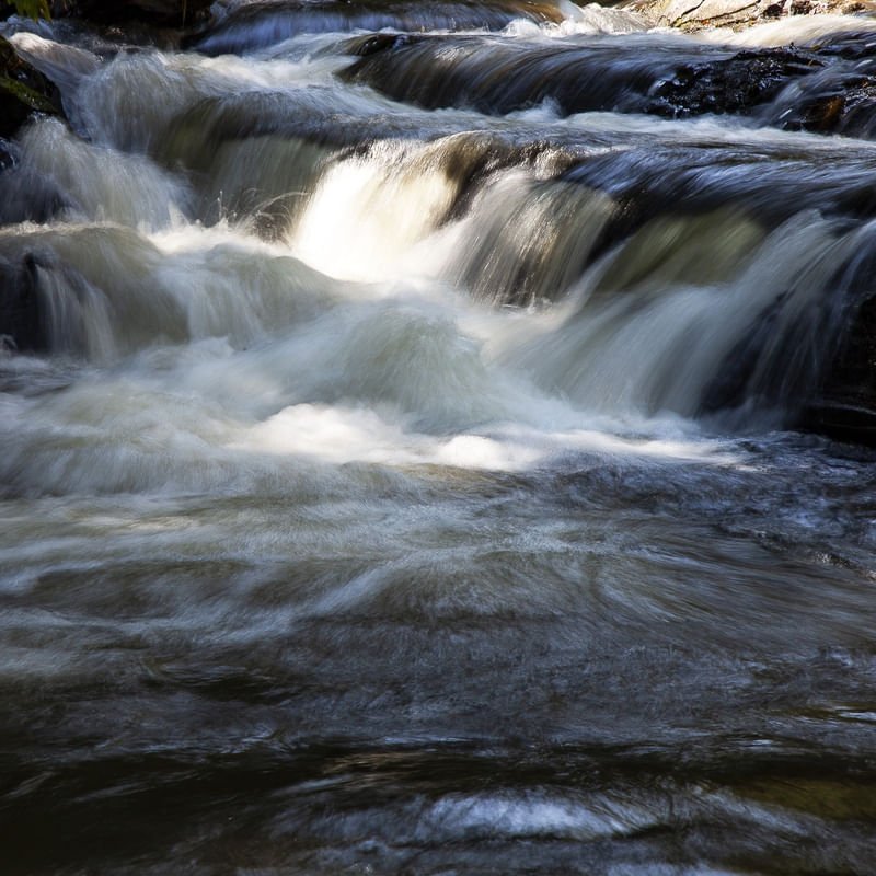 CACHOEIRA 2020 1