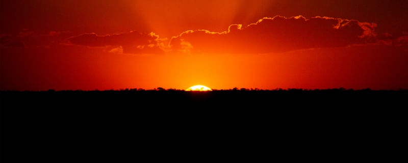 LARANJA PÔR DO SOL