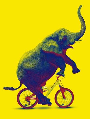 ELEFANTE DE BICICLETA
