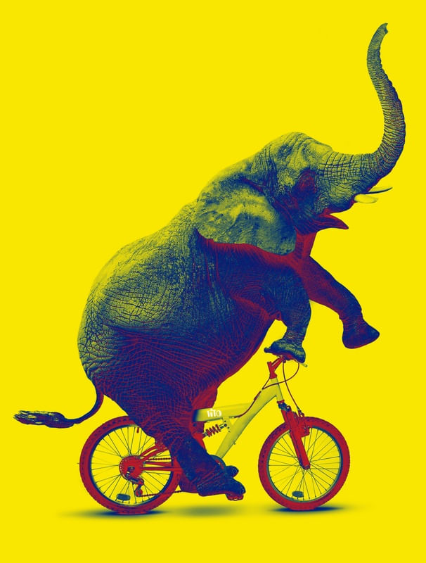 ELEFANTE DE BICICLETA