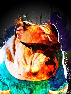 BULL DOG PINTURA