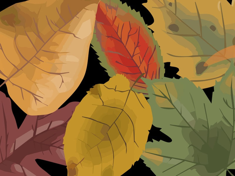 FOLHAS ARTE DIGITAL 1