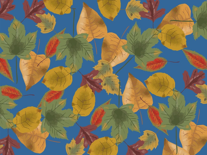 FOLHAS ARTE DIGITAL 2