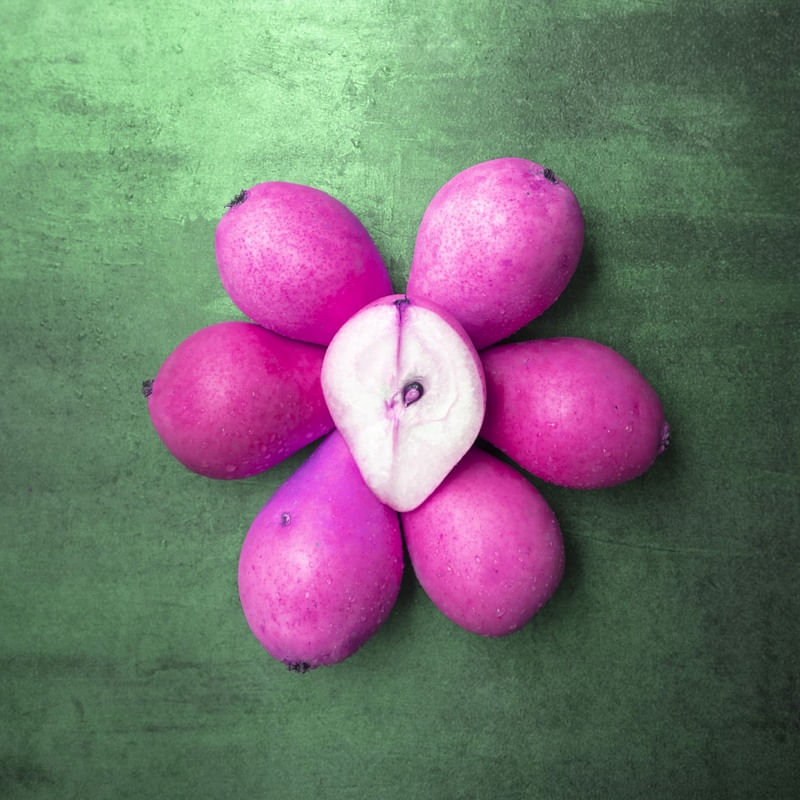 PERA ROSA