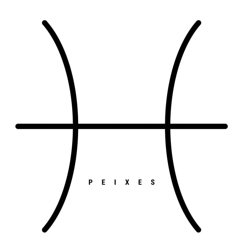 SIGNO XII