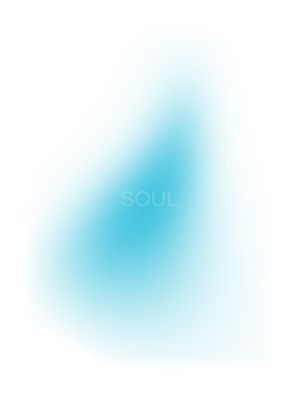 SOUL - RETRATO