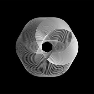 SPIRALS - BLACKWHITE