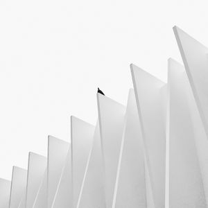 SOLITUDE EM PRETO E BRANCO