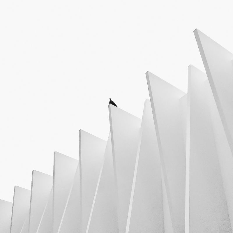SOLITUDE EM PRETO E BRANCO