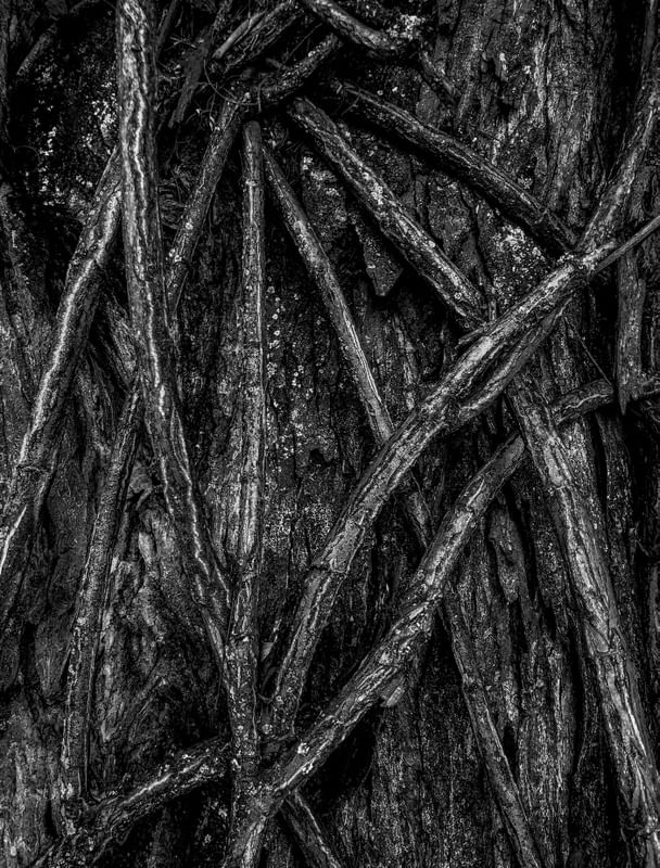 TEXTURA SOBRE TEXTURA