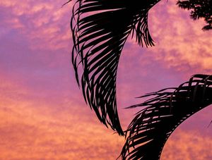 SKY ABOVE