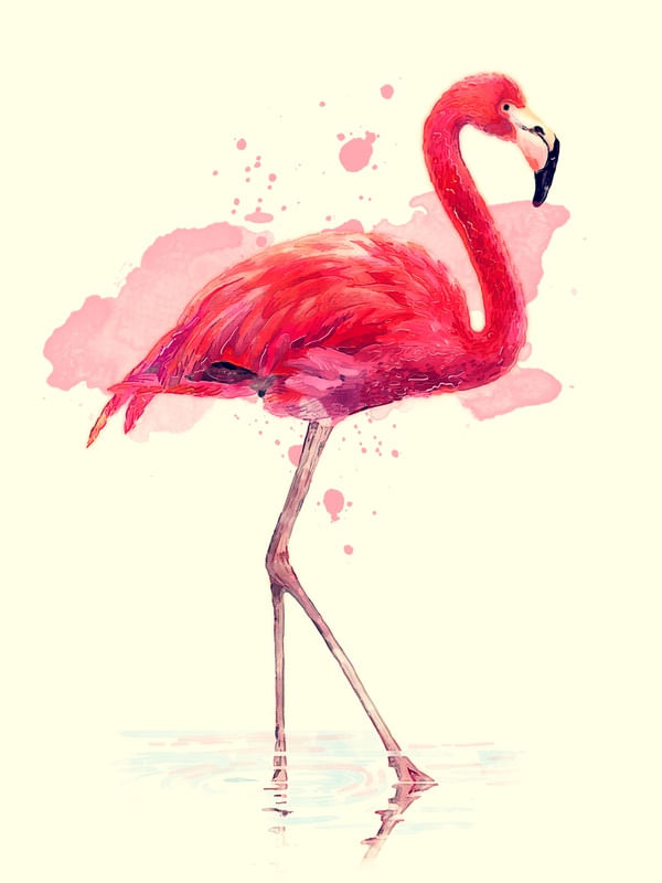 FLAMINGOART