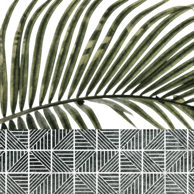 PALM LEAVES ON WHITE WALL AND CERAMIC TILES