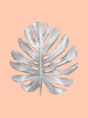 WHITE MARBLE MONSTERA LEAF ON CORAL