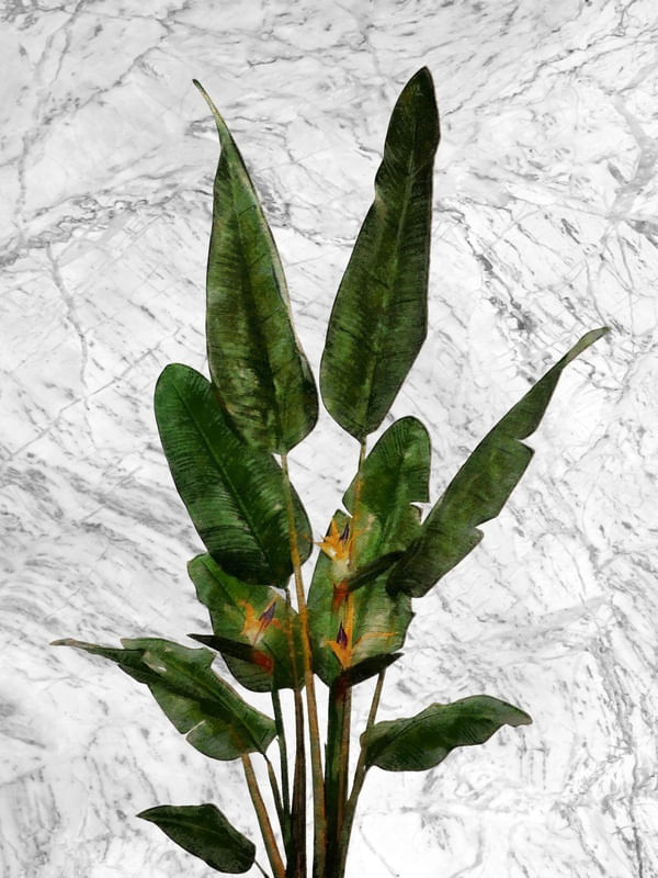 BIRD OF PARADISE ON WHITE MARBLE
