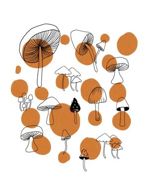 COGUMELOS E CIRCULOS